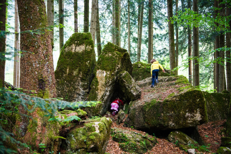 Märchenwald